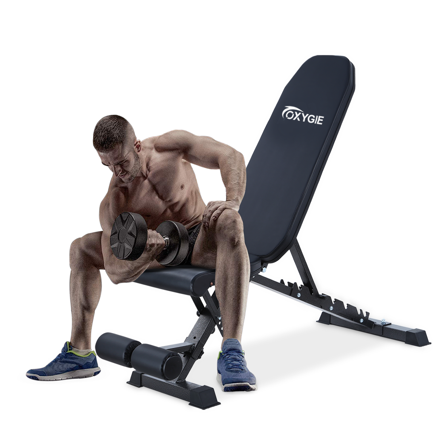 Adjustable Incline Dumbbell Press, Foldable Workout Bench Sit Up Incline, Multi-Purpose Bench, Training Bench for Home Gym Foldable Flat/Incline/Decline Bench Press for Full Body Dumbbell Workout