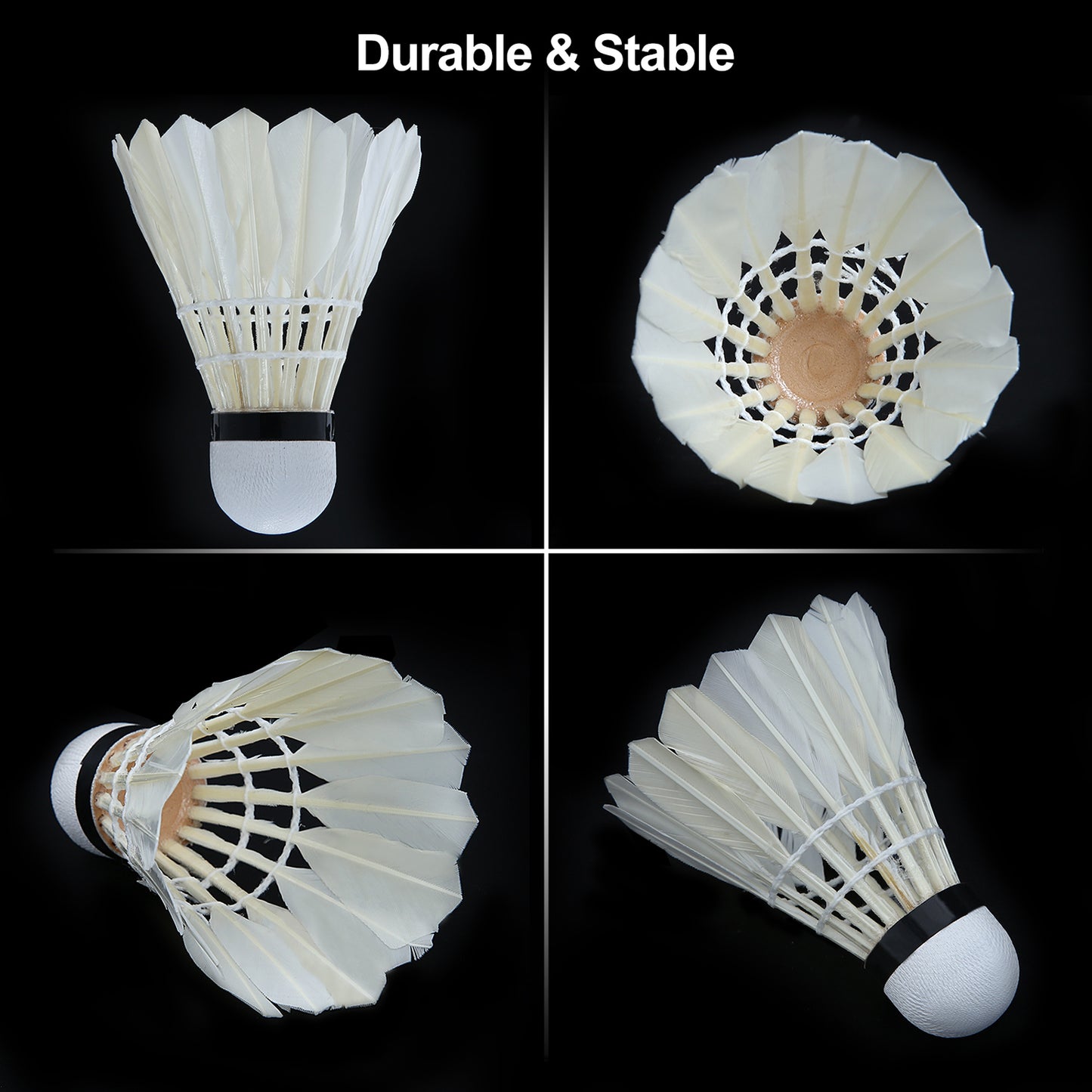 Badminton Set with Winch System