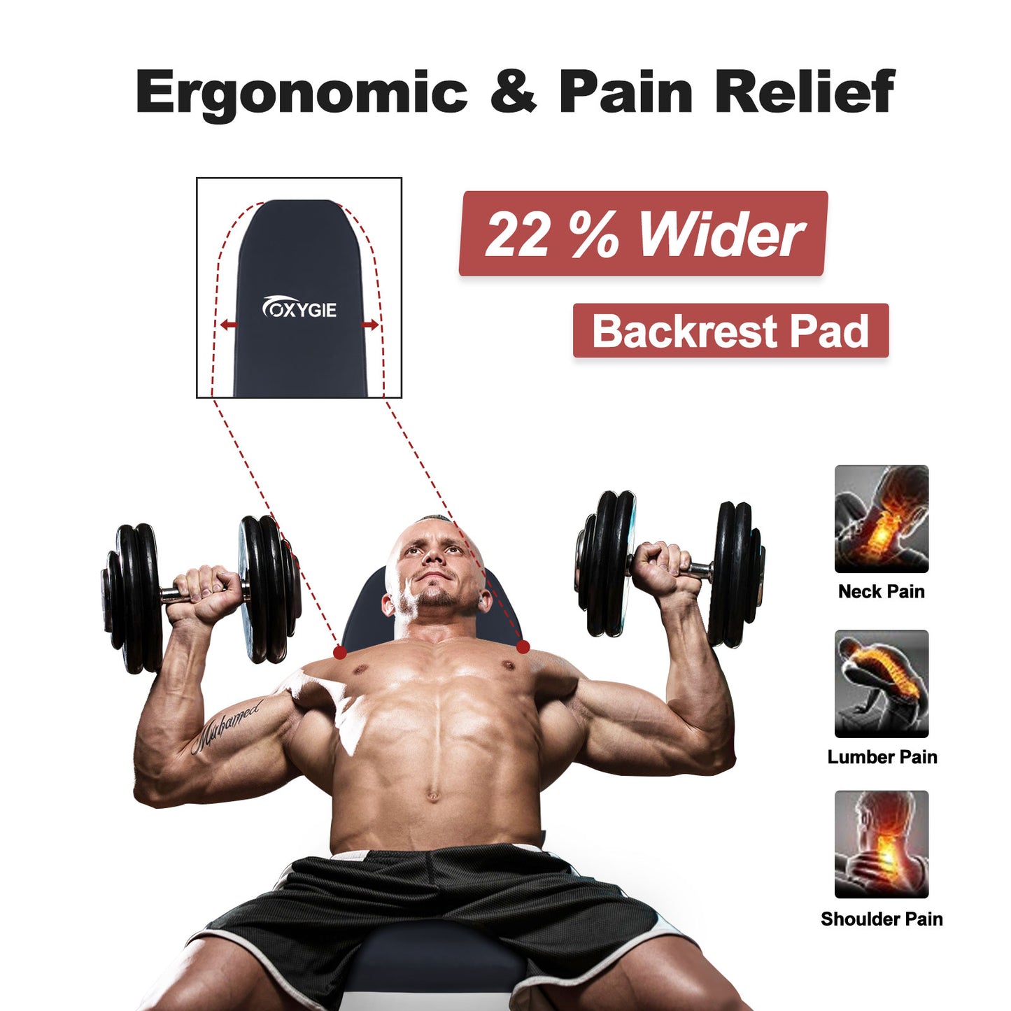 Adjustable Incline Dumbbell Press, Foldable Workout Bench Sit Up Incline, Multi-Purpose Bench, Training Bench for Home Gym Foldable Flat/Incline/Decline Bench Press for Full Body Dumbbell Workout